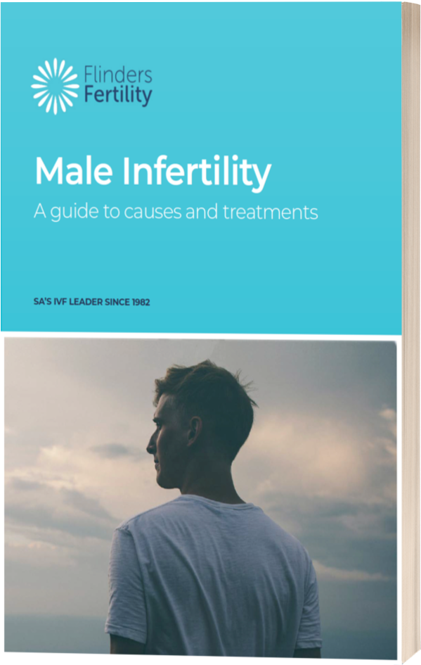 male infertility ebook mockup
