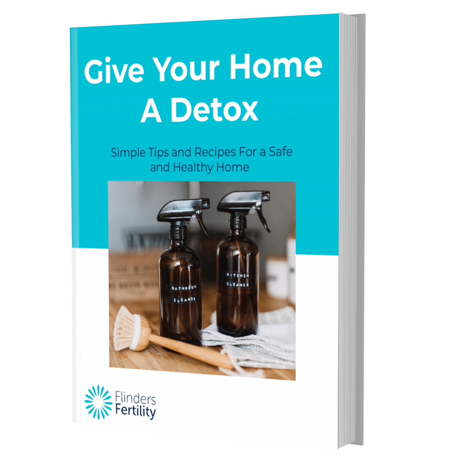Non Toxic Cleaning Products cover 1 Non Toxic Cleaning Products cover 1